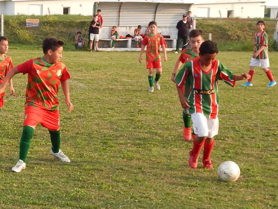 Colonia se quedo con el acumulado en la Liga de Baby Fútbol de F. Sánchez-  Cardona. Nacional gano varias categorías - Perfiles